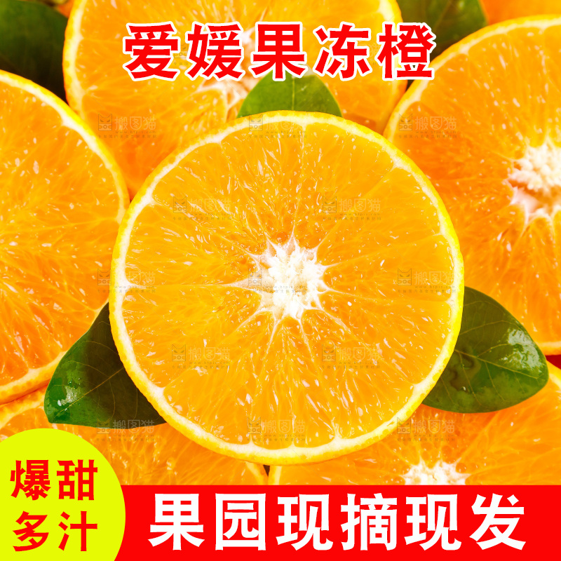白底上一篮爱媛38号果冻橙