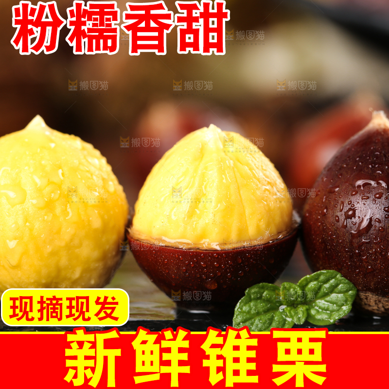 黑底上的锥栗和去壳的锥栗仁