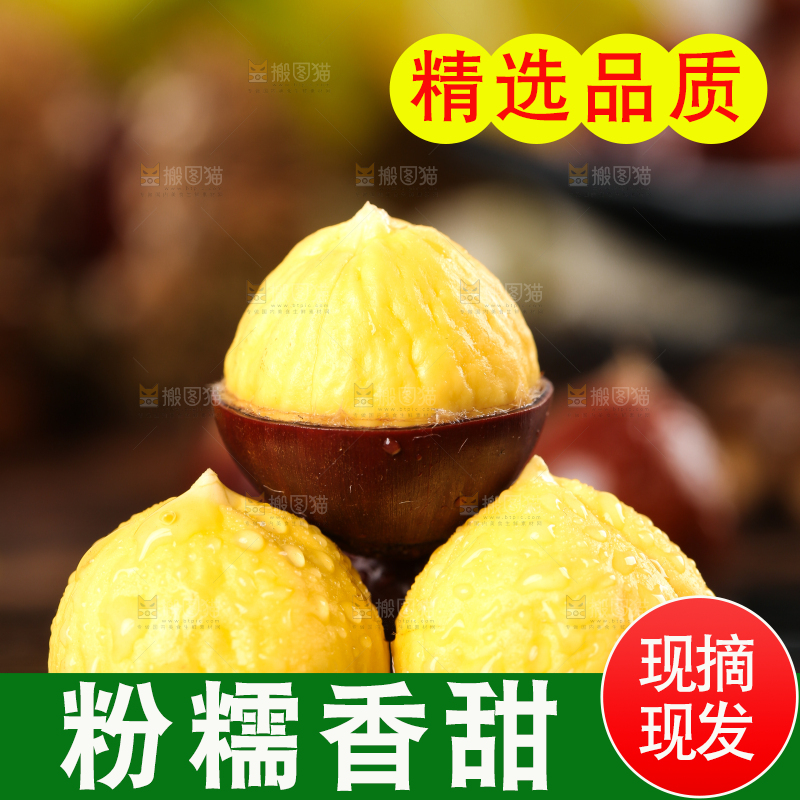 黑底上放着锥栗仁