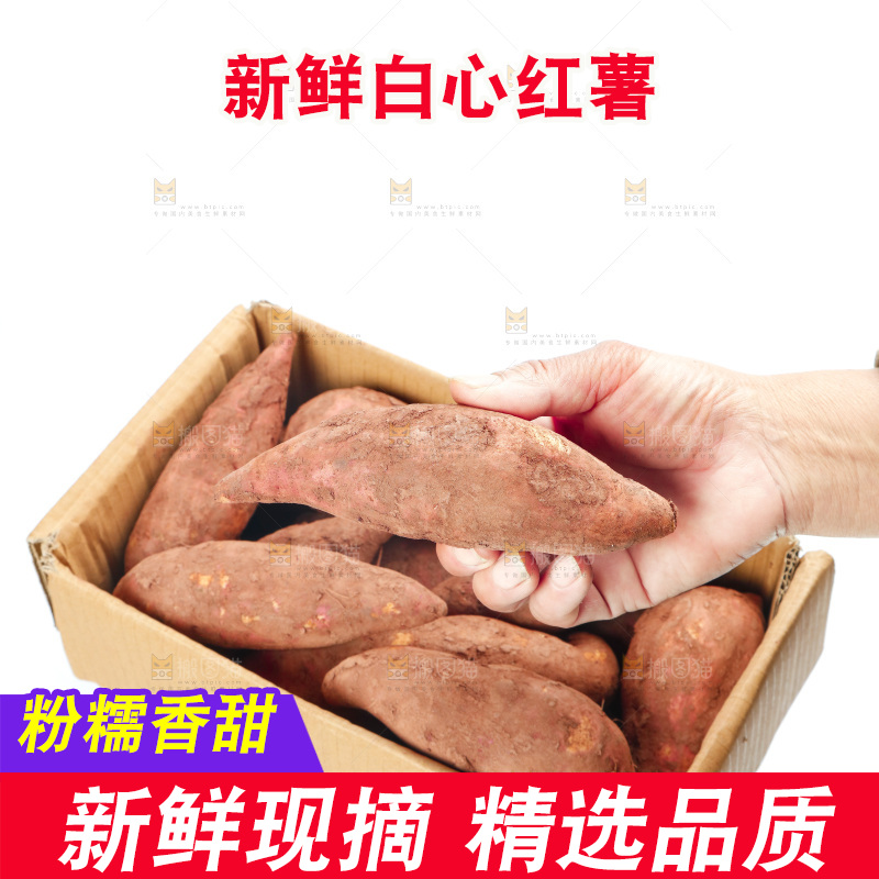 手上拿着板栗薯