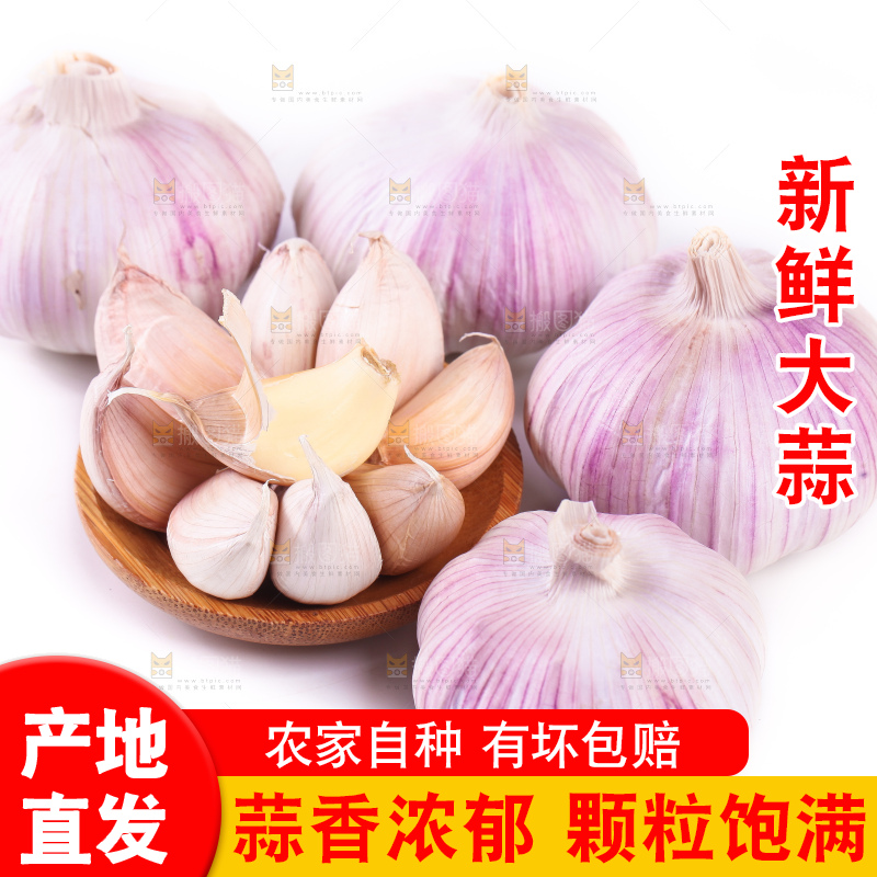 白底上的大蒜