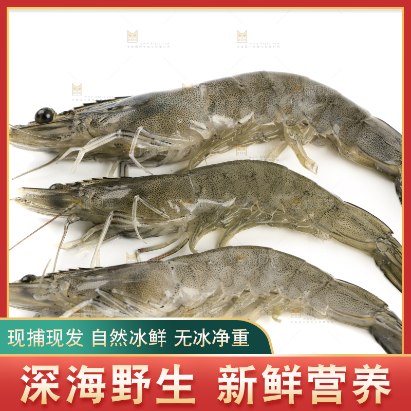 白底上的基围虾