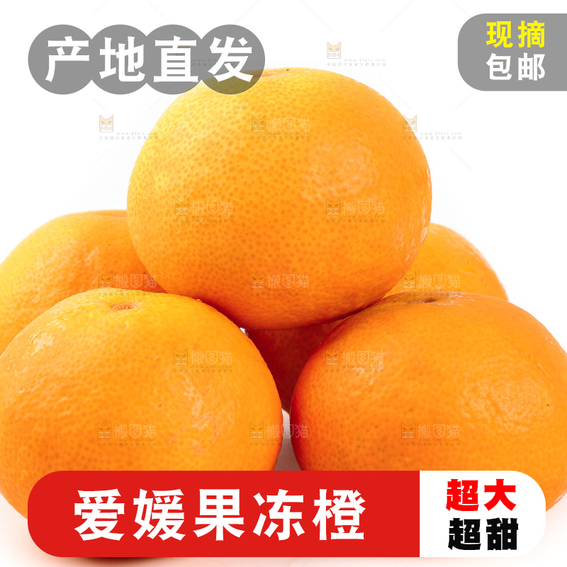 白底上一堆新鲜爱媛果冻橙