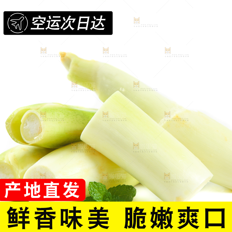 白底上一堆鲜嫩茭白
