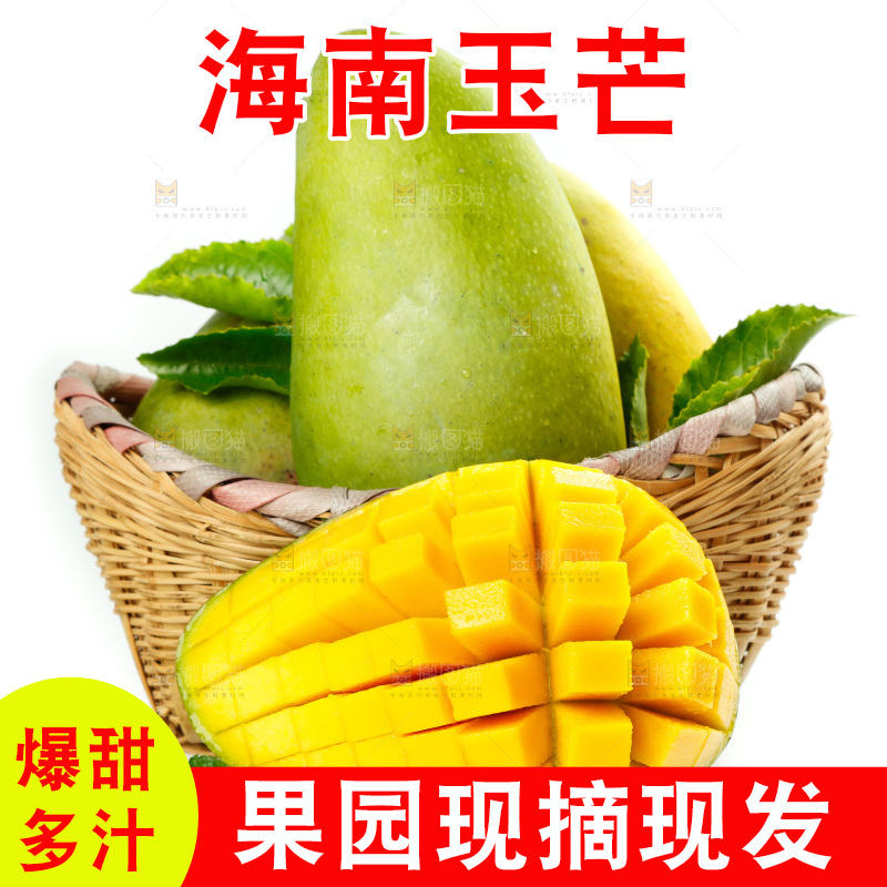 白底上一篓玉芒
