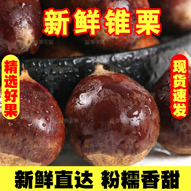 白底上放着一盘新鲜锥栗