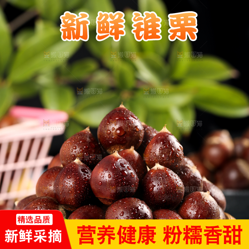 木板上一篮油锥栗