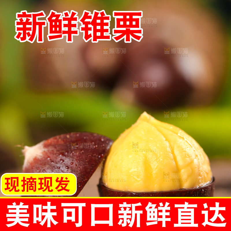 木底上放着锥栗仁