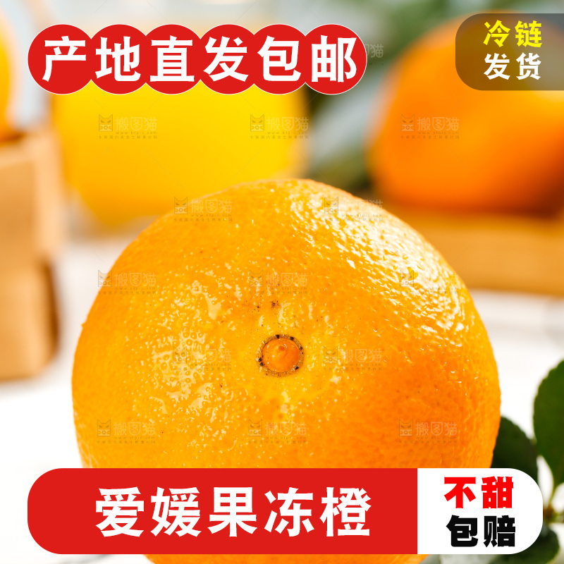 盘子里的爱媛桔橙