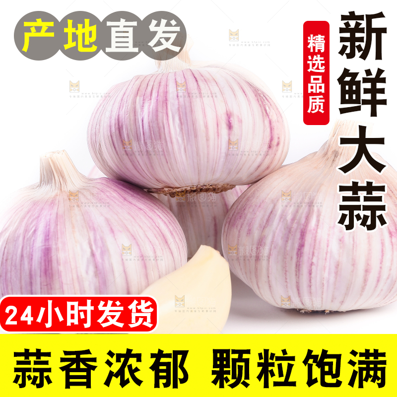白底上的大蒜头