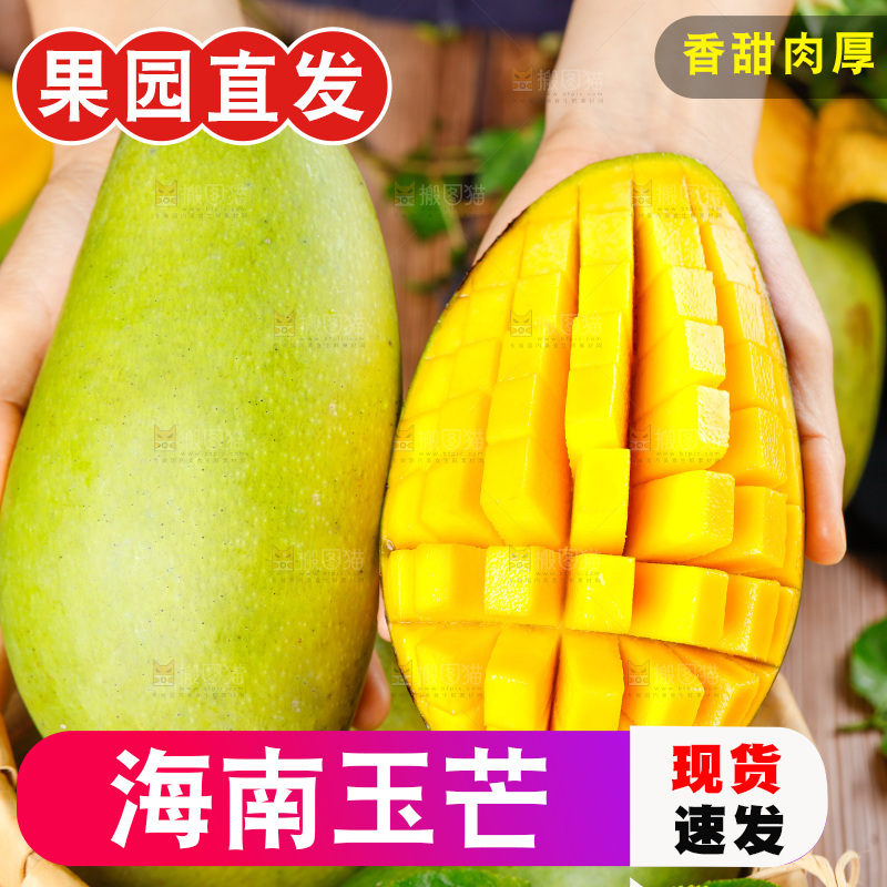 手上拿着玉芒果