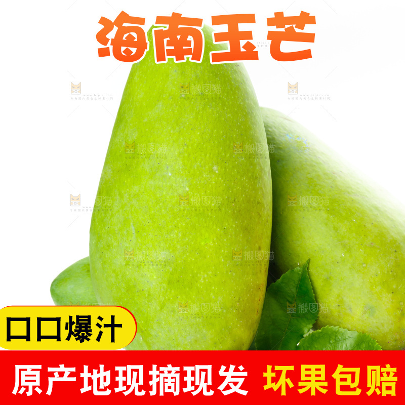 白底上的玉芒果
