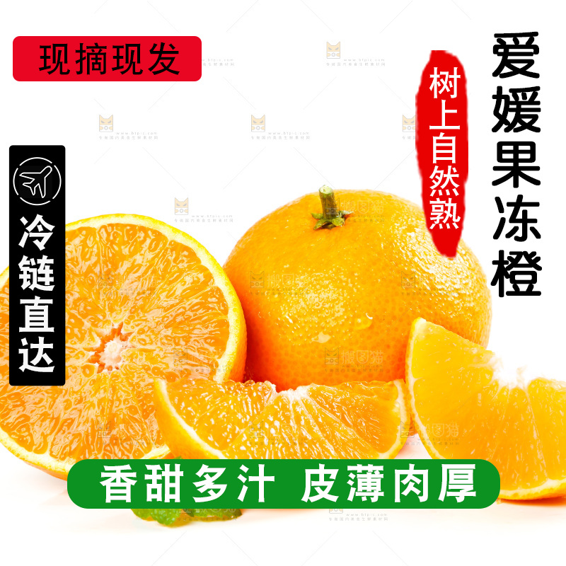 白底上的爱媛果冻橙和果冻橙果肉