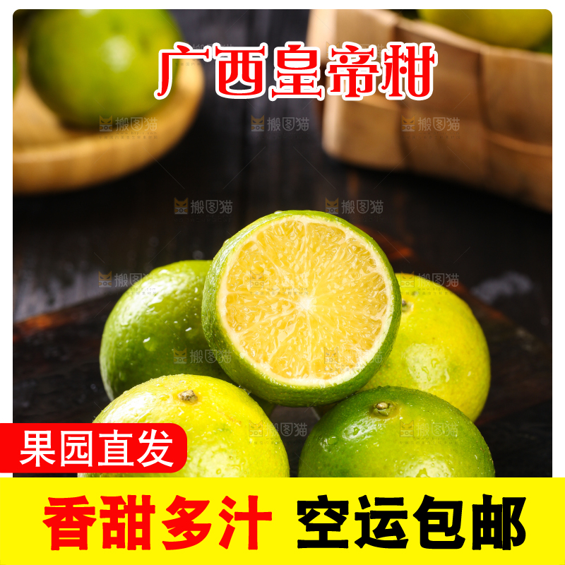 黑底上的广西皇帝柑