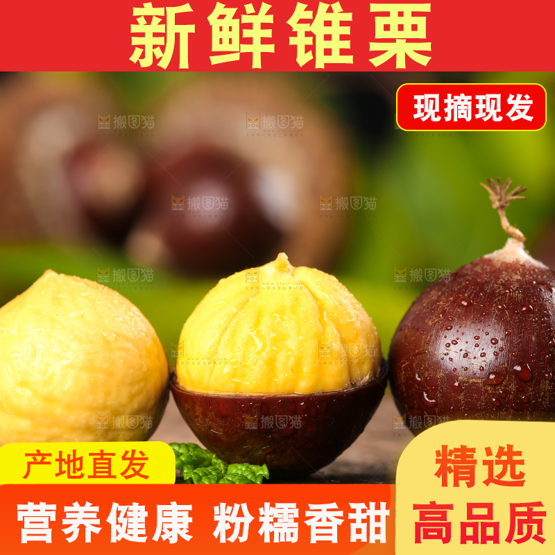 深底上的油锥栗
