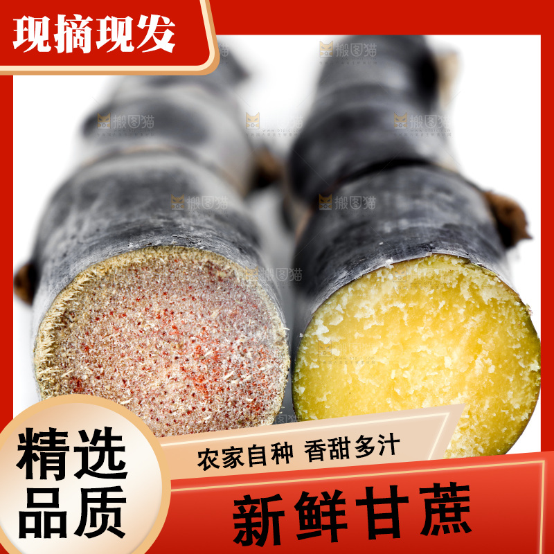 白底上的黑皮甘蔗