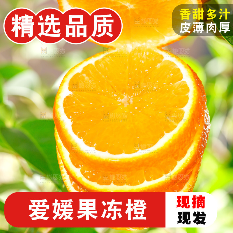 树枝上切开的橙子