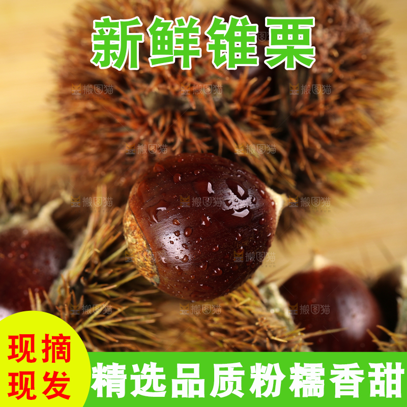 木底上放着毛栗子