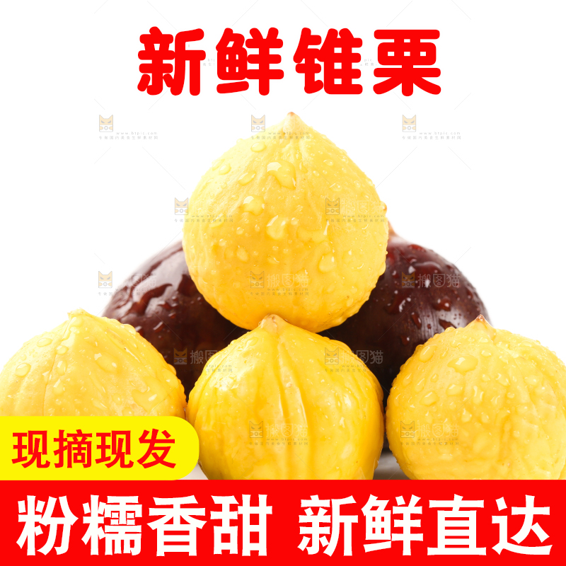 白底上放着锥栗仁和锥栗