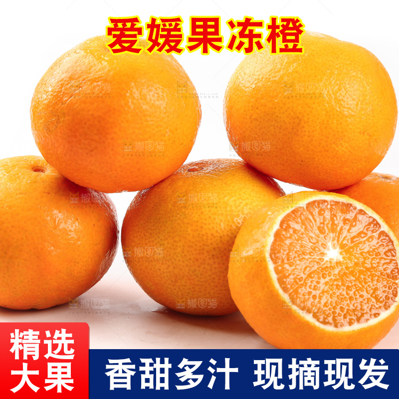 白底上一堆新鲜爱媛果冻橙