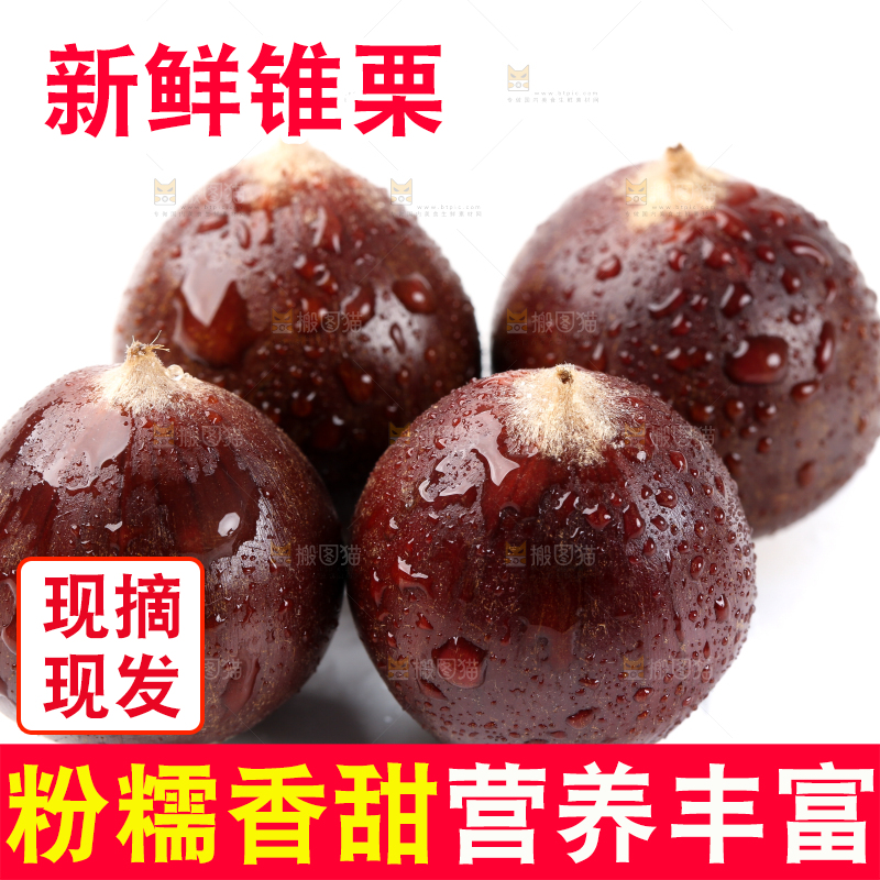 白底上放着新鲜锥栗