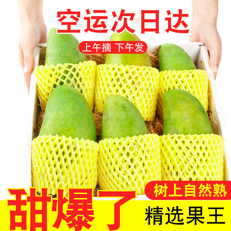 手上端着一箱大青芒
