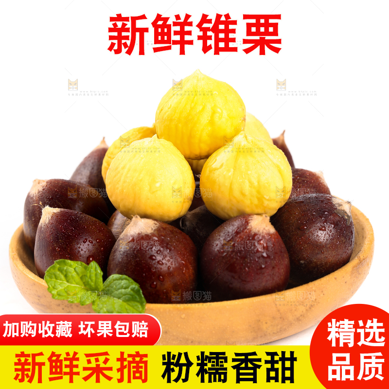 白底上一盘建瓯圆锥栗