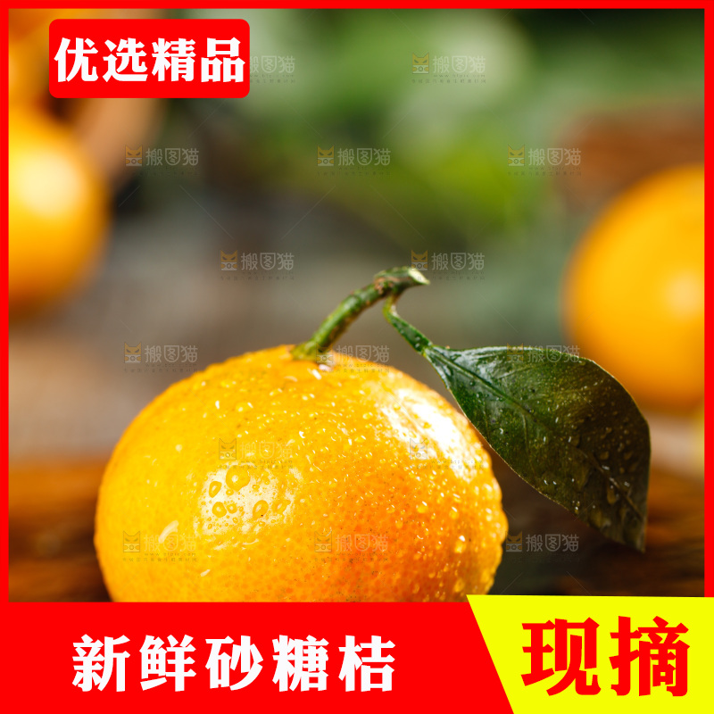 木底上放着砂糖橘