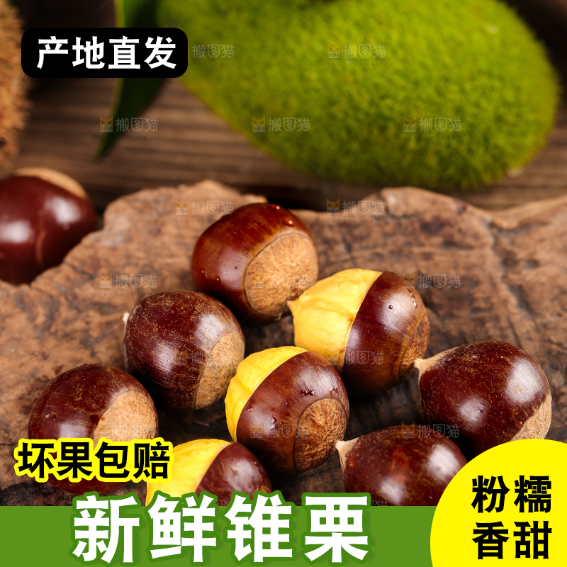 深底上的油锥栗