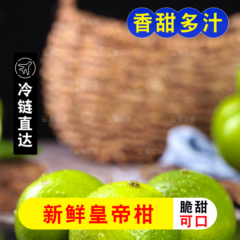 黑底上的广西武鸣皇帝柑