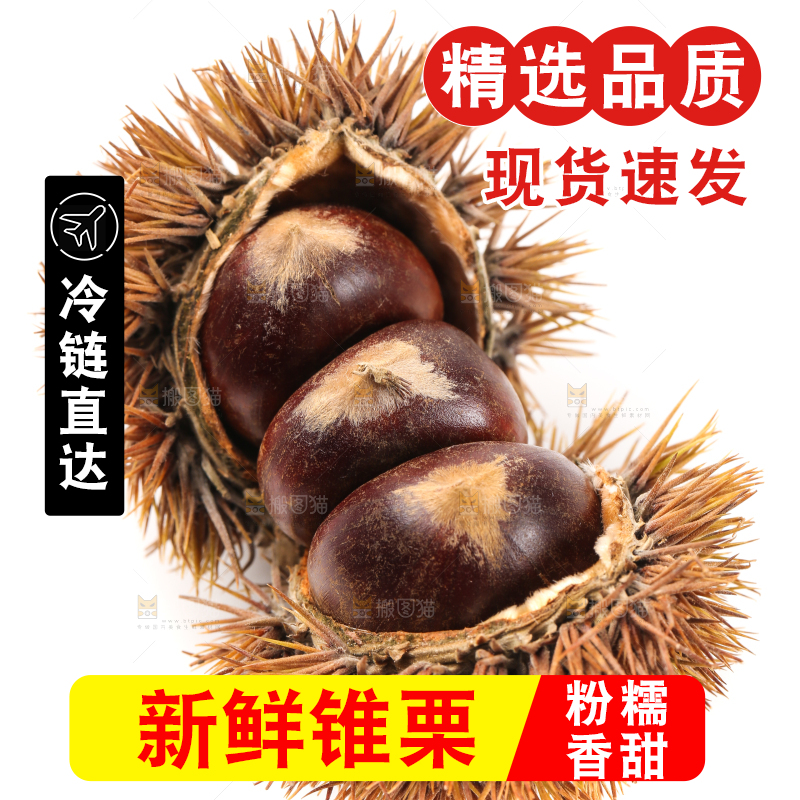 白底上放着板栗
