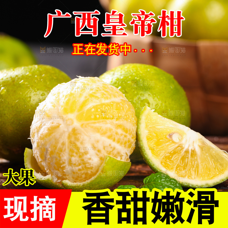 竹底上放着皇帝柑