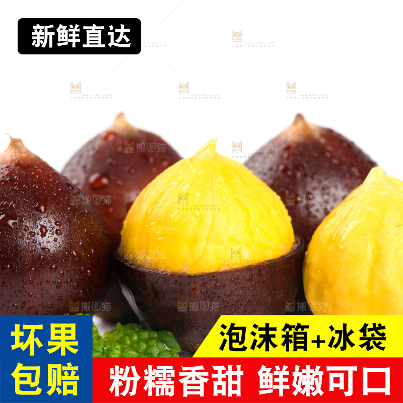 白底上的栗子和锥栗仁