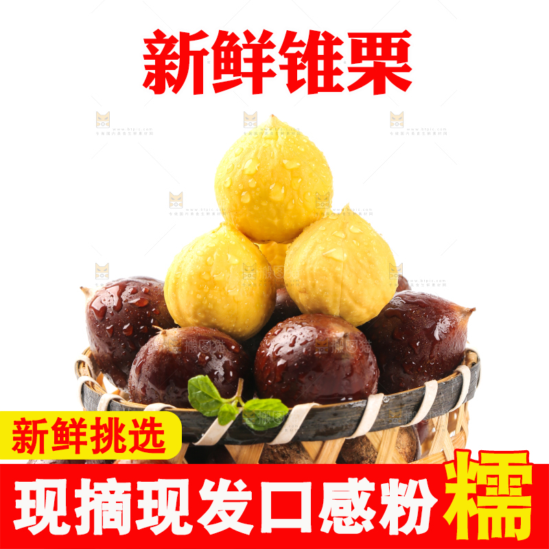 白底上篮子里的
