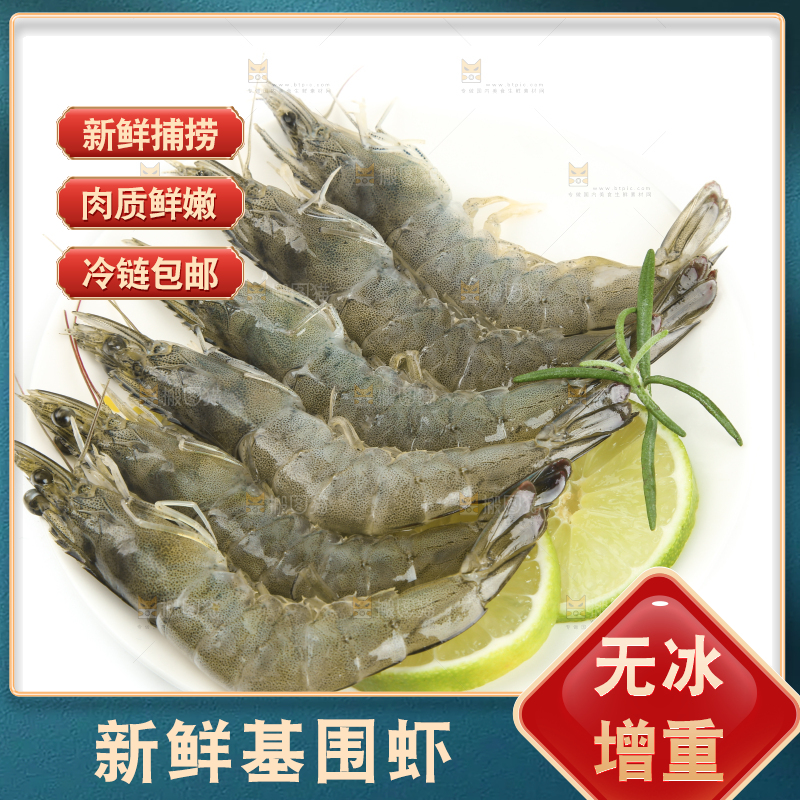 白底上一盘青岛大虾
