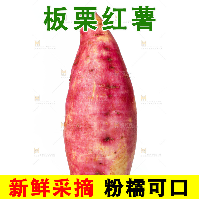 白底上的白心板栗薯