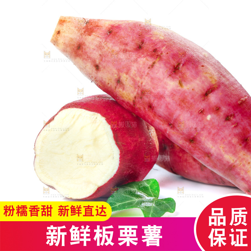白底上的白心板栗红薯