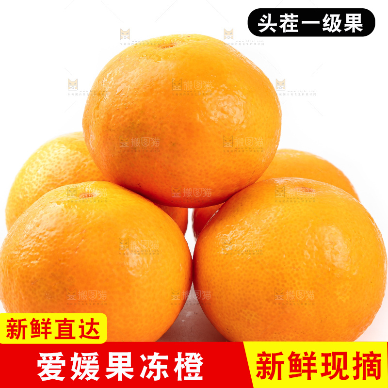 白底上一堆新鲜爱媛果冻橙