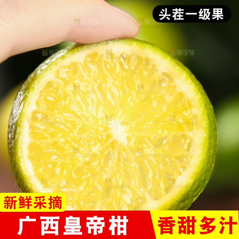 手上拿着贡柑