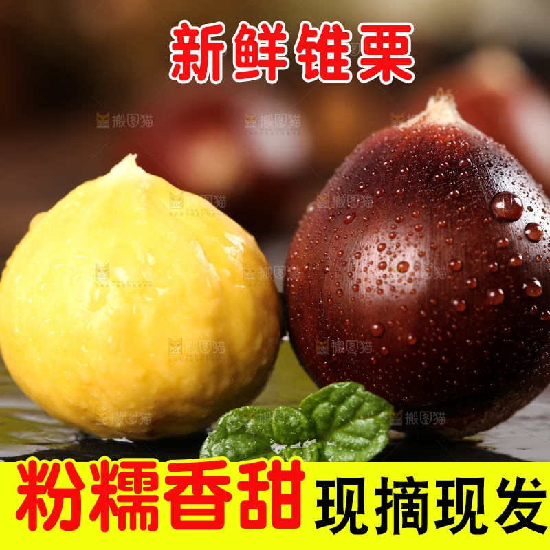 黑底上的锥栗和去壳的锥栗仁