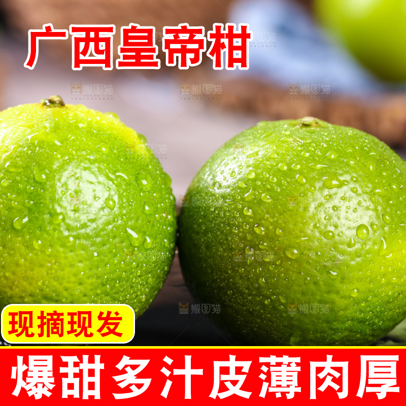 黑底上的广西武鸣皇帝柑