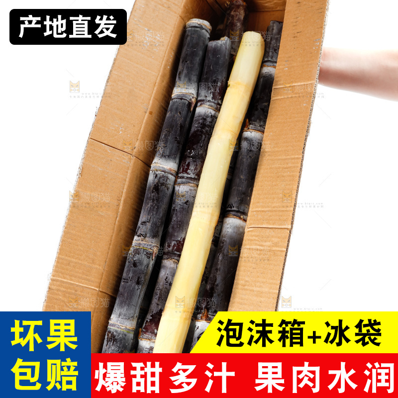 手上端着一箱广西黑皮甘蔗
