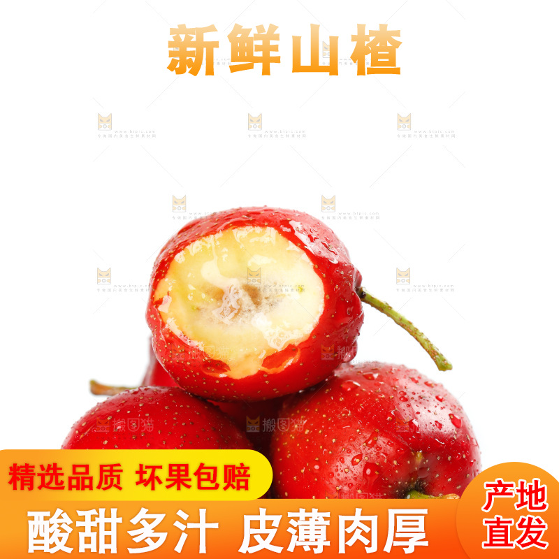 白底上的山楂果