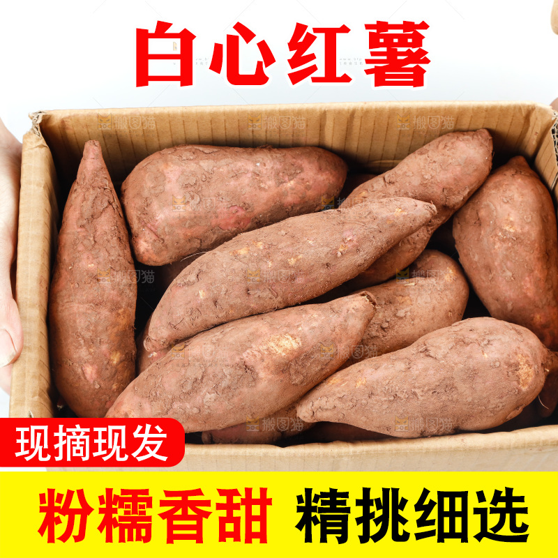 手上端着一箱白心板栗薯