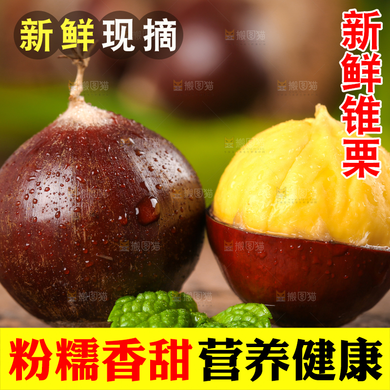 深底上的油锥栗