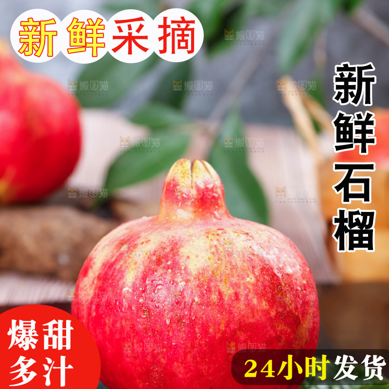 白底上放着软籽石榴