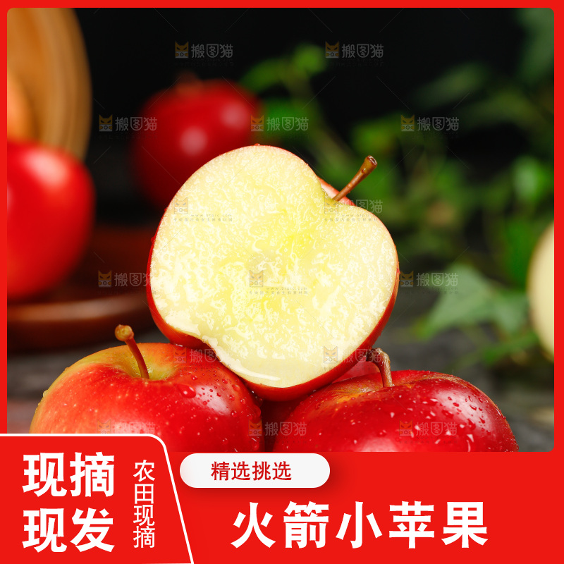 木板上的火箭小苹果