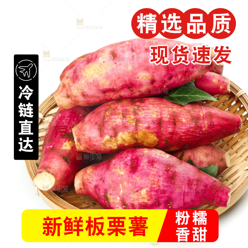 白底上一篮新鲜白心板栗薯