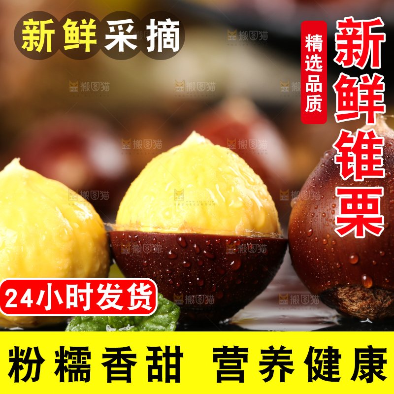 黑底上的锥栗和去壳的锥栗仁