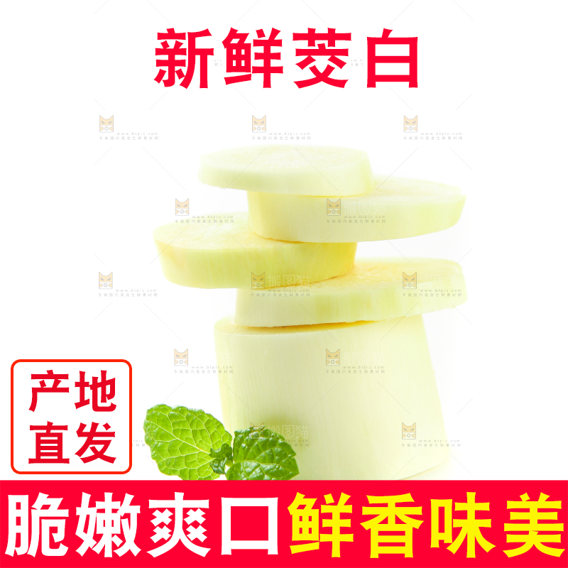 白底上的茭白